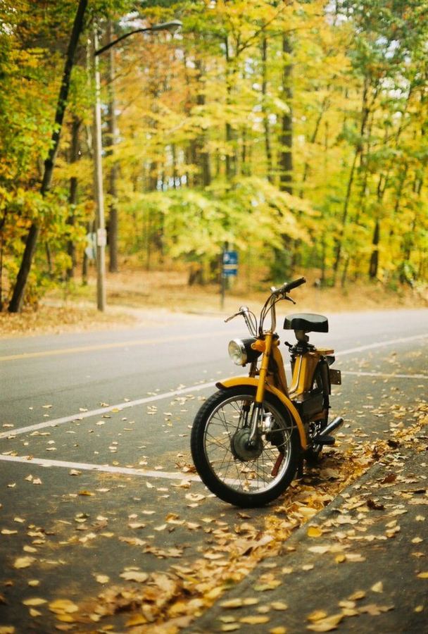 A 1976 Columbia Commuter